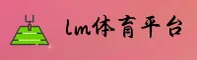 使用指南与常见问题